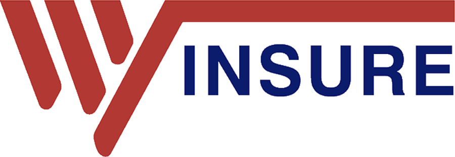 www.winsureiot.com